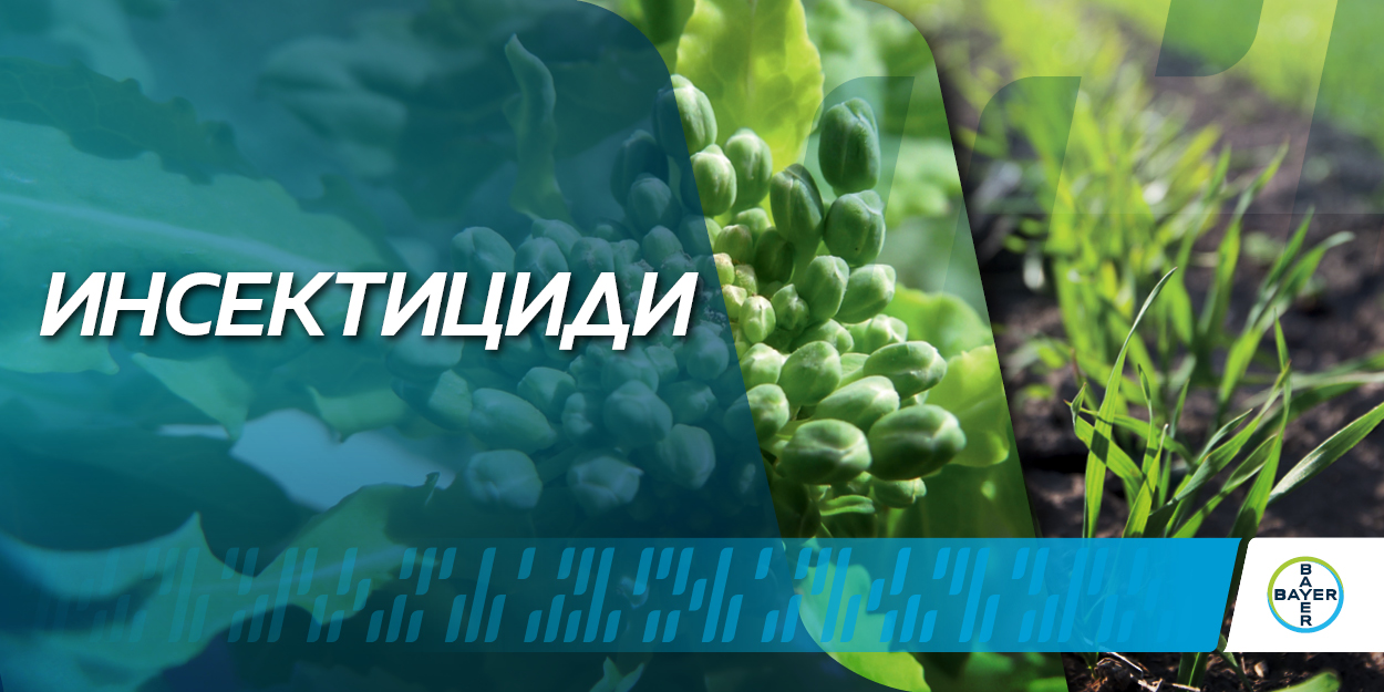 Банер Инсектициди